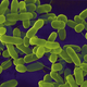Image for article titled Bioencryption can store almost a million gigabytes of data inside bacteria